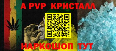 крисы Кунгур