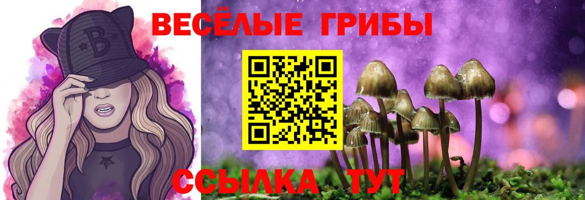 Псилоцибиновые грибы мицелий  Вход с VPN  Десногорск 