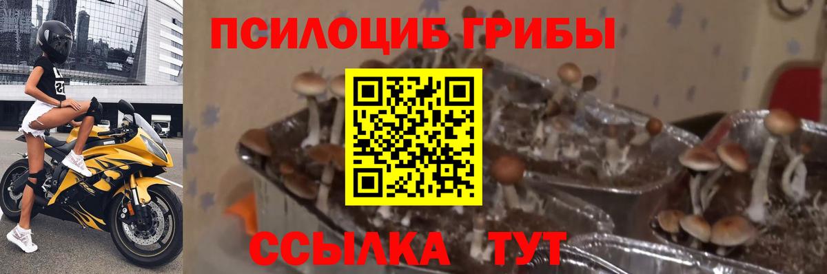 Десногорск  ГЕРОИН  Cocaine  Вход с VPN  Меф МЯУ МЯУ   Каннабис  ГАШ 
